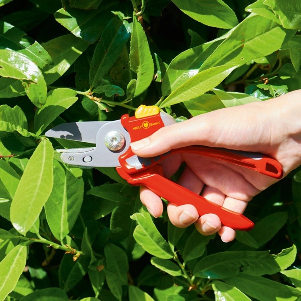 Wolf-Garten Wolf Garten RS2500 Anvil Secateurs 2 Wolf-Garten Wolf Garten RS2500 Anvil Secateurs - Image 2