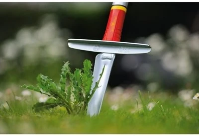 Wolf-Garten Wolf Garten Multi-Change 4cm Weeding Knife 2 Wolf-Garten Wolf Garten Multi-Change 4cm Weeding Knife - Image 2