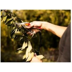 Wolf-Garten Professional Bypass Aluminium Secateurs 25mm RR5000 7 Wolf-Garten Professional Bypass Aluminium Secateurs 25mm RR5000 -Tool Sale Shop 85610663 4