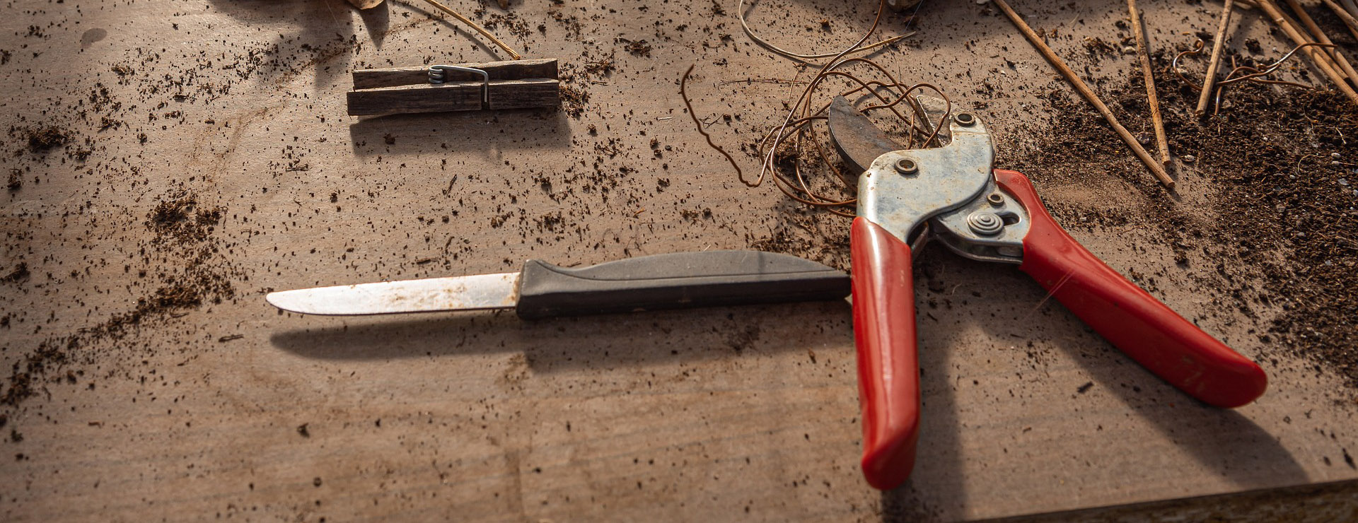 Front Page -Tool Sale Shop gardening 4892083 1920